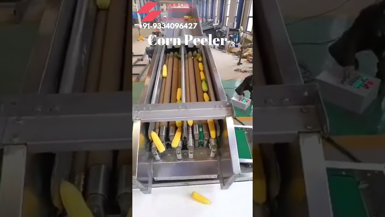 agri based business in India 2024 automatic corn Peeler machine