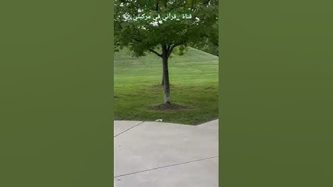 #عبدالرحمن_مسعد #قرآن #quran #سورة يونس#قل لا أملك لنفسي