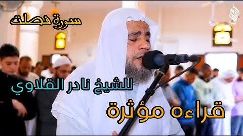 قراءه مؤثره من سورة فصلت للشيخ نادر القلاوي ♥️