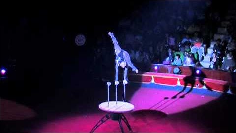 Đứng tay nghệ thuật - Balance - America