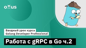 Вводный урок курса «Golang Developer. Professional» часть 2
