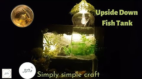 Tiểu cảnh bể cá úp ngược siêu đẹp dễ làm| Beautuful upside down fish tank