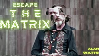 Alan Watts | Escape The MATRIX
