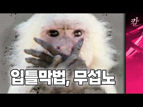 입틀막법, 무섭노