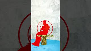 Comment Un Igloo Reste Au Chaud ?