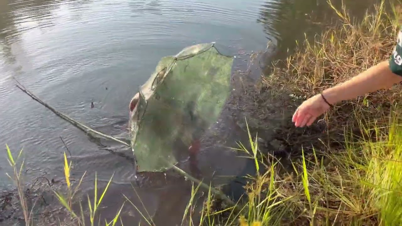 สาวเเคทหายไปนานไปหาปลา😂