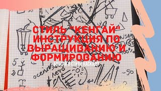 Стили бонсай.  Как вырастить бонсай в стиле Кенгай (Kengai) - стиль водопада. Отличия от полукаскада