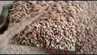 Details Groundnut Color Sorter Machine - ☎️ Call: +91 9994399996 Update