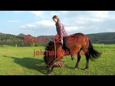 Video: Jak Naučit Koně Klanět Se