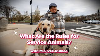 What Are the Rules for Service Animals?