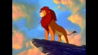 Circle Of Life Cover Emi B