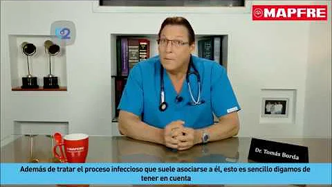 ¿Cuánto tiempo después de una mordedura de perro aparece la infección?