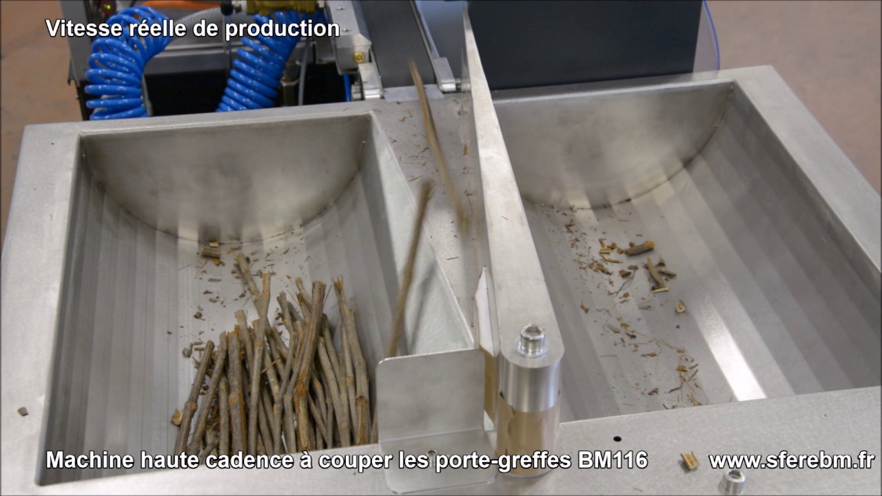 Machine Haute cadence pour la coupe des porte-greffes BM116