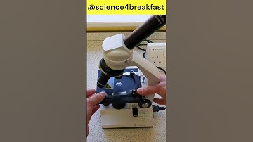 Onion Cells with a Light Microscope #gcsescience #science #experiment #scienceteacher #biology