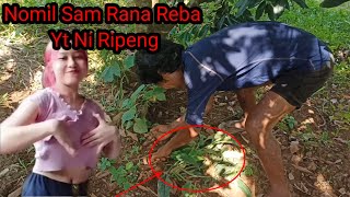 Nomil Sam rana rebara yt ni Ripeng saksa