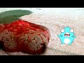 かりゆし水族館で魚をたくさん見たサメニンジャー！
