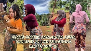 Gadis Cantik Panen Singkong Dan Ikan #gadisdesa #jandadesa