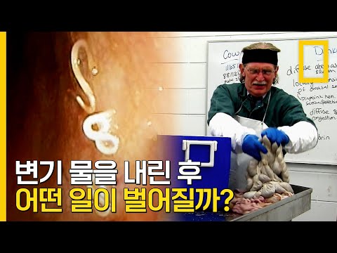 공중 보건을 책임지는 기생충학자의 일상 | <strong>터부</strong>