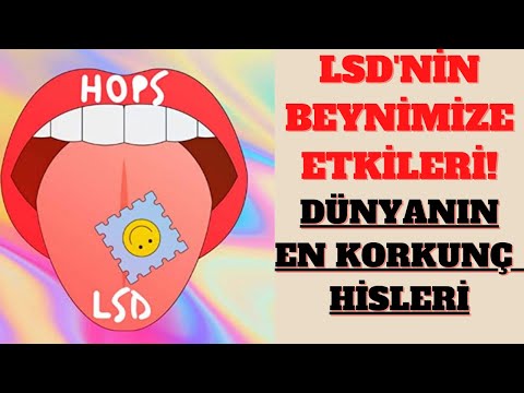 LSD NEDİR? LSD TRİPLERİ VE BEYNİNİZE ETKİLERİ!