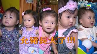 《BB來了》入面嘅允豬豬 一變五