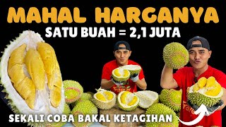 TIDAK MURAH ⁉️ 2,1 JUTA UNTUK SATU BUAH DURIAN DURI HITAM #durian #duriandurihitam #masduren