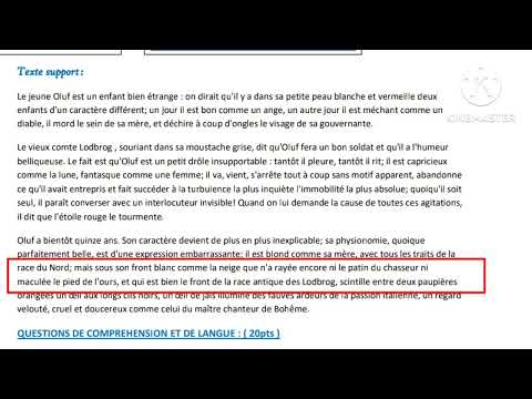tronc commun le chevalier double évaluation N1 2ème semestre compréhension et langue
