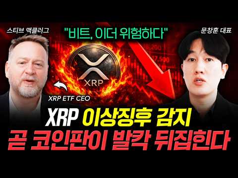 "비트, 이더 위험하다" XRP 이상징후 포착. 곧 코인판이 발칵 뒤집힌다｜문창훈 대표, 스티븐 맥클러그 카나리 캐피탈 CEO 2부