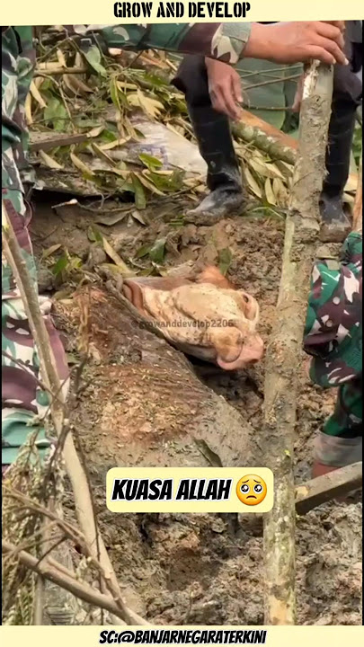 Mukjijat keajaiban atas kuasa allah #viralshorts