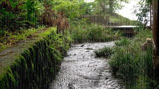 Звуки дождя помогают обрести душевное спокойствие и расслабление – белый шум, звуки природы
