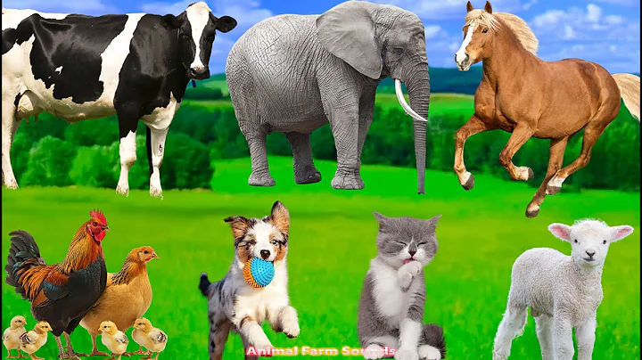 Cute Animal Compilation: Horse, Elephant, Dog, Cat, Chicken, Cow & Sheep - Funny Sounds thumbnail
