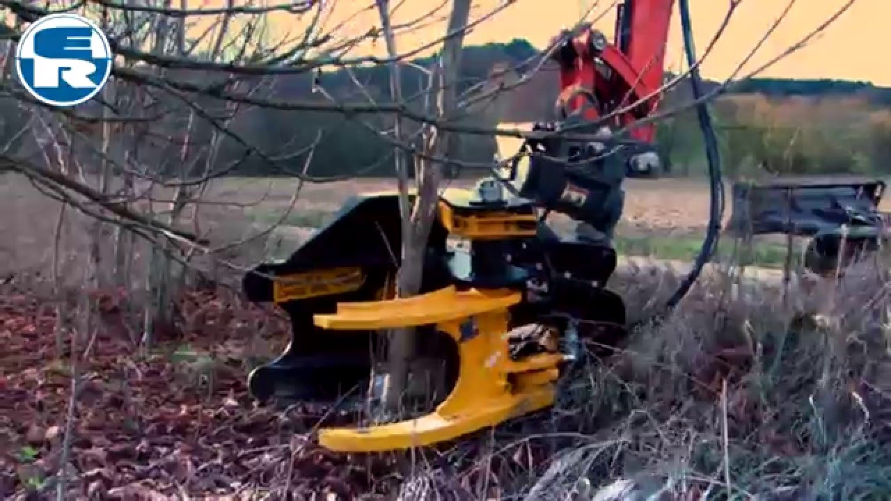 TMK Baumschere 300 mit Sammelfunktion