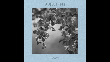 ÆXXXVI - Adjust (BE)
