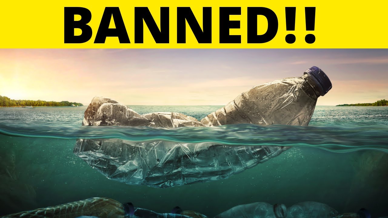 BIGGEST BANS In California YouTube