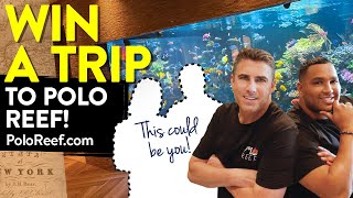 YOU could win a Trip & Private tour at Polo Reef!