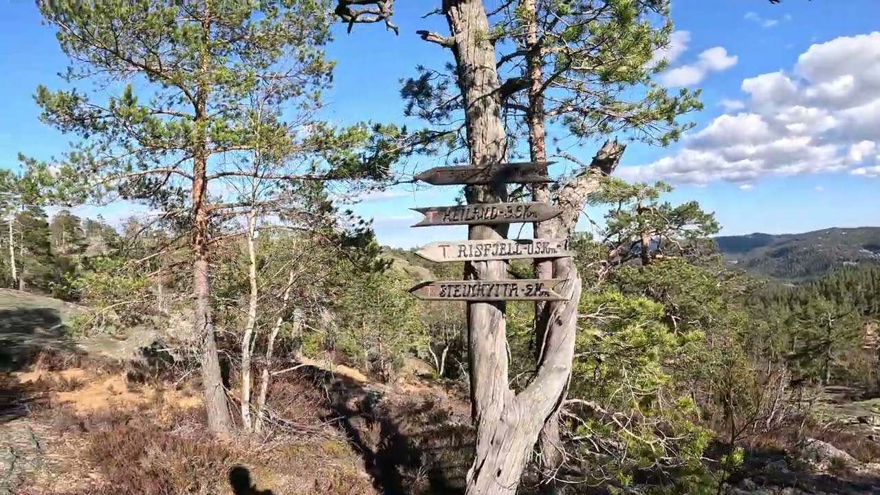 Snartur til Risfjell i Gjerstad