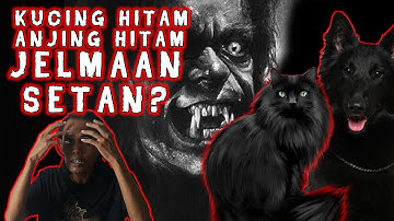 KUCING HITAM dan ANJING HITAM jelmaan setan? - Opini Jalak Paningal