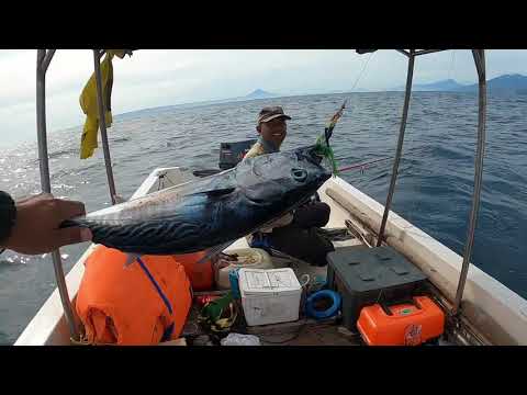 Video: Dalam keadaan berangin memancing?