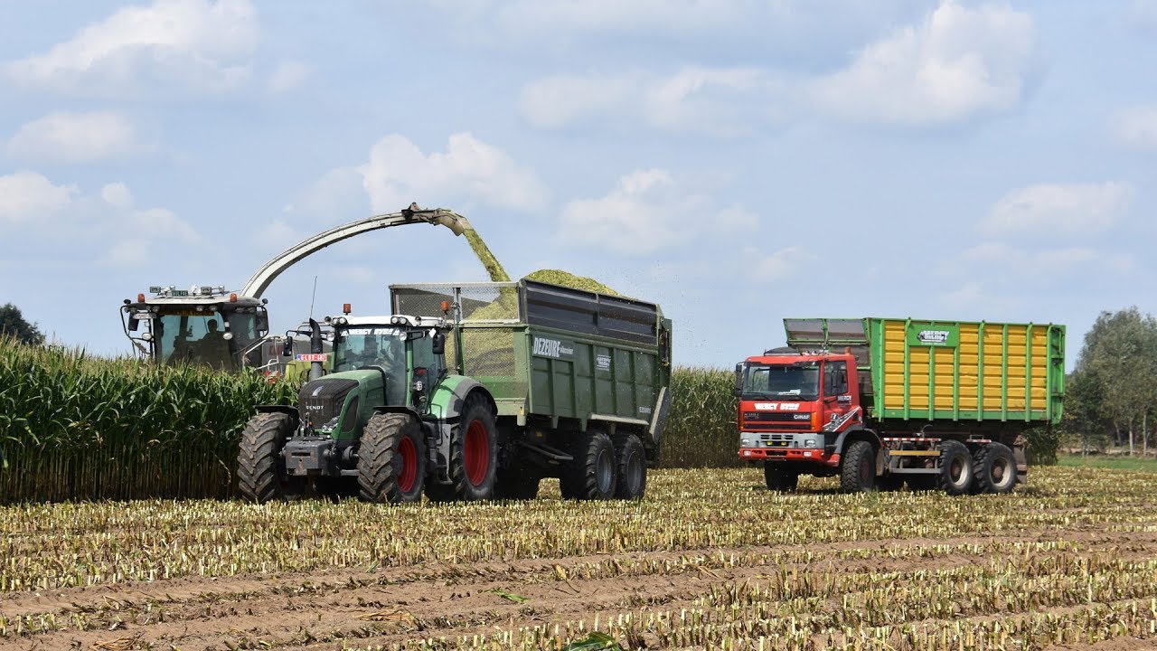 Claas Jaguar 960 & Ginaf maistruck -  Mercy bvba - mais hakselen