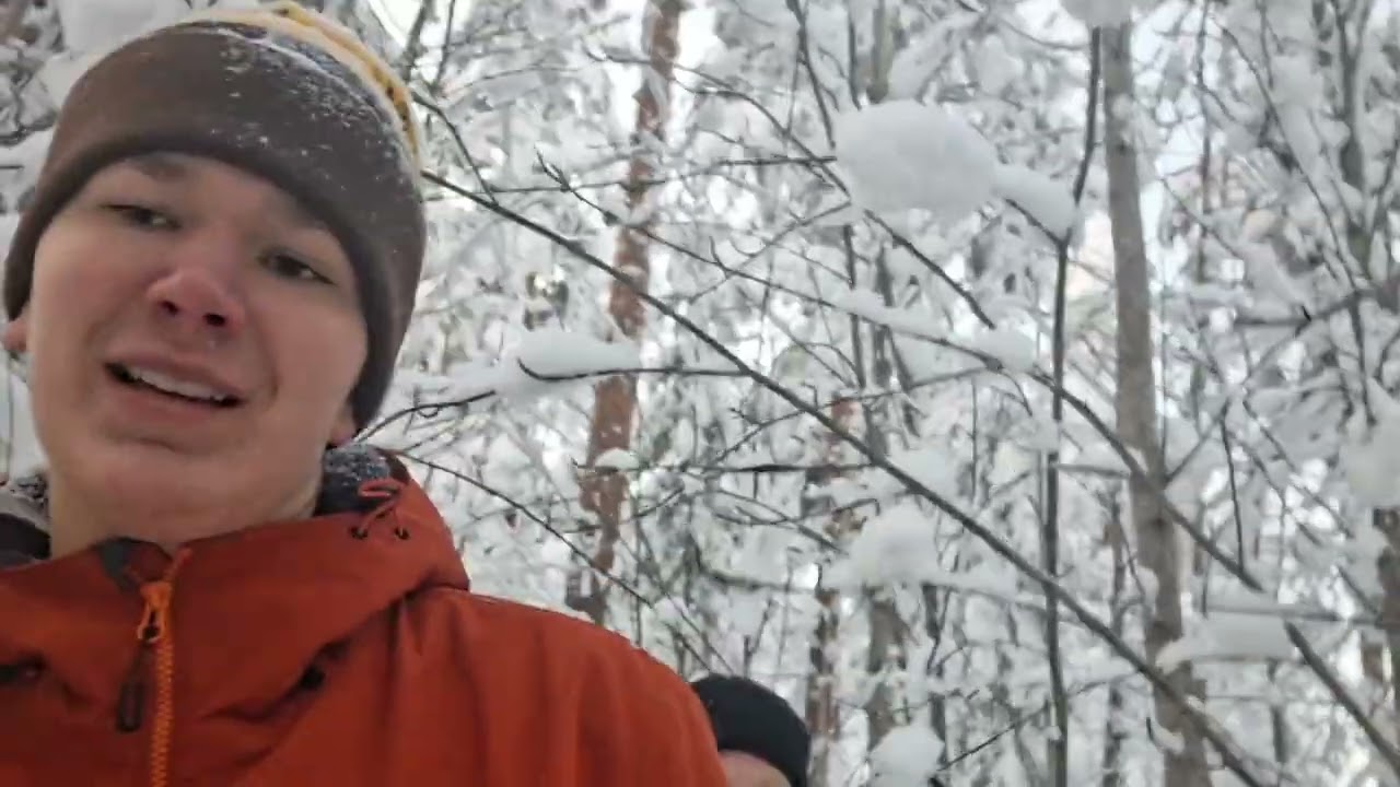 Metsässä Sulon kanssa