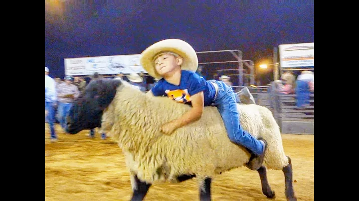 Mutton Bustin 2021