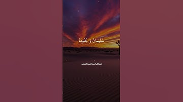 قالت نملة يا أيها النمل | تلاوة مبهرة بصوت الشيخ عبد الباسط عبد الصمد | قرآن يهز القلوب