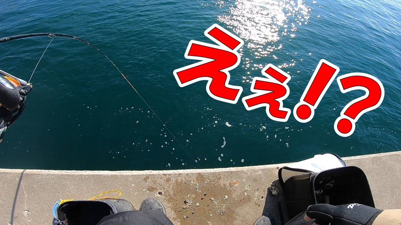 【冬の日間賀島釣行】釣り/海釣り/かぶせ釣り/愛知県/知多/日間賀島/離島/クロダイ/チヌ/メジナ/グレ/コブダイ/カンダイ