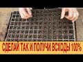 ТЕХНОЛОГИЯ ФЕРМЕРА || ПОСЕВ ДЫНИ // Farmer technology|| SOWING MELON SEEDS - with english subtitles