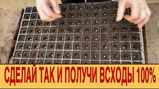 ТЕХНОЛОГИЯ ФЕРМЕРА || ПОСЕВ ДЫНИ // Farmer technology|| SOWING MELON SEEDS - with english subtitles