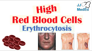 What causes too much blood in the body?