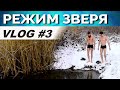 💪 Натуральный Бодибилдинг + Закаливание. Вегетарианство. &quot;РЗ&quot; 3.