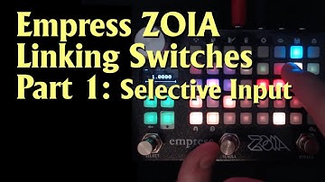 Zoia Tutorial: Linking Switches #1 - Empress Effects Zoia