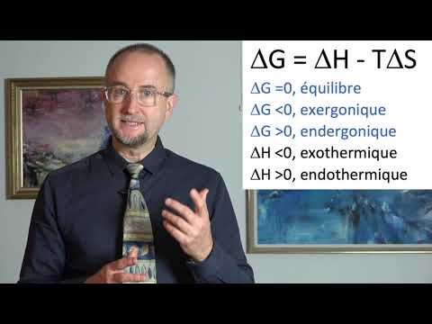 Vidéo: Qu'est-ce qu'une réaction exergonique et endergonique ?