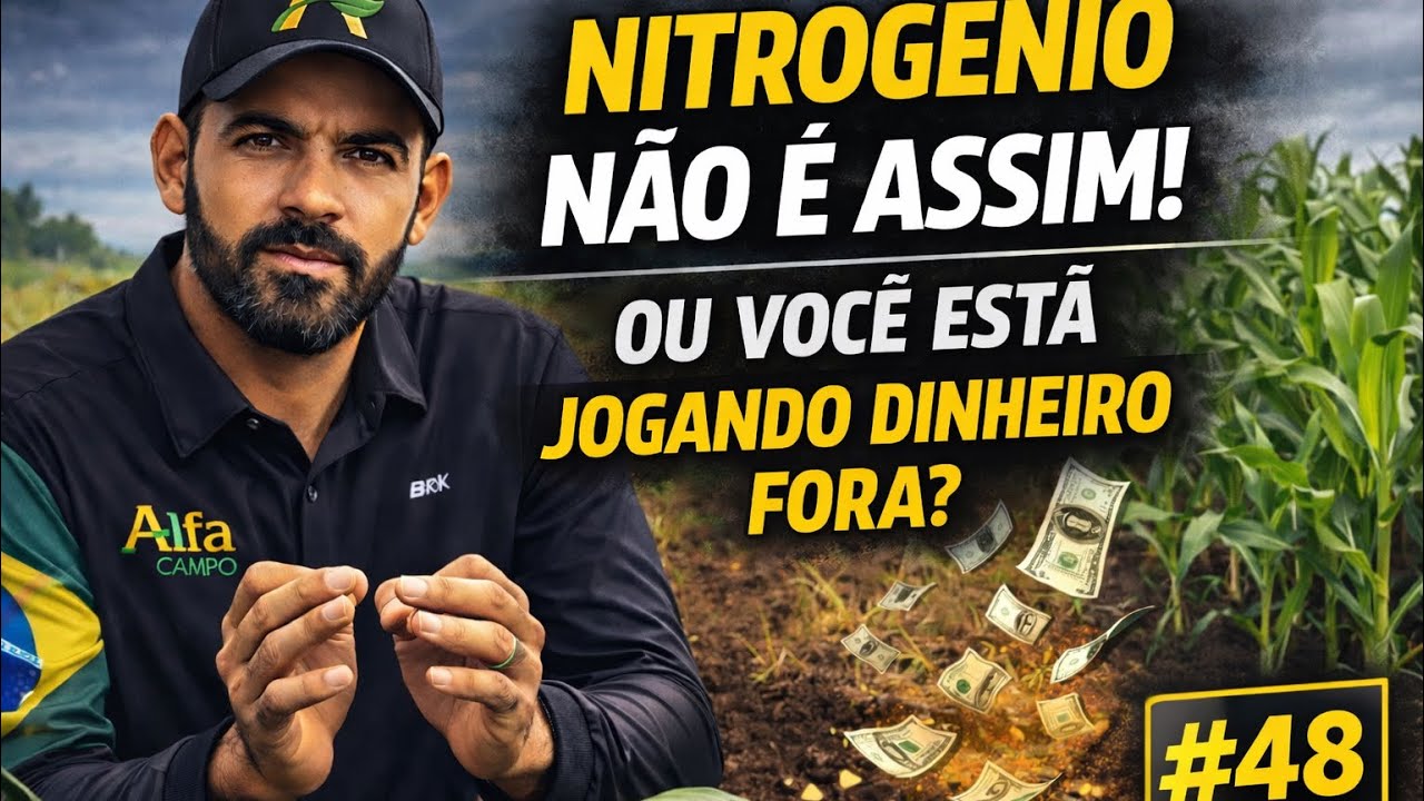 Quando aplicar nitrogênio no milho para produzir mais?#48