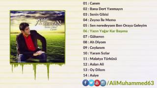 Arif Ceylan - Yazın Yağar Kar Başıma Resimi